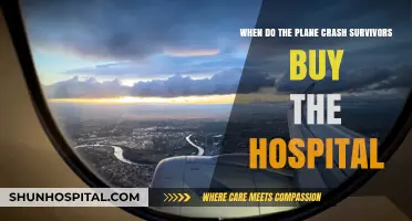 Survivors' Hospital Purchase: A Post-Crash Decision Timeline Explored