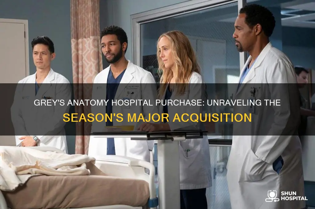 when do they buy the hospital grey