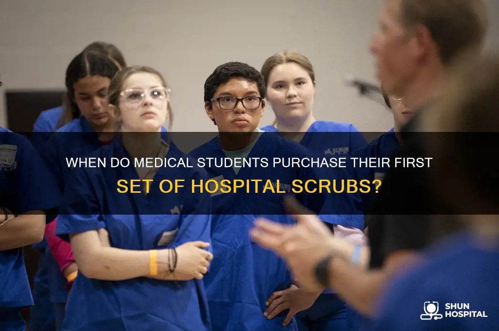 when do they buy the hospital greys