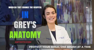 Grey's Anatomy Hospital Shift: When and Why the Change Occurred