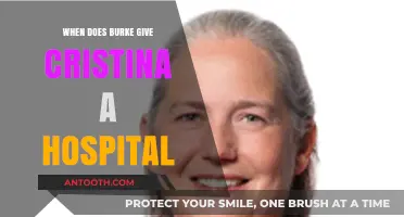 Burke's Generous Gift: Cristina's Hospital Ownership Explained