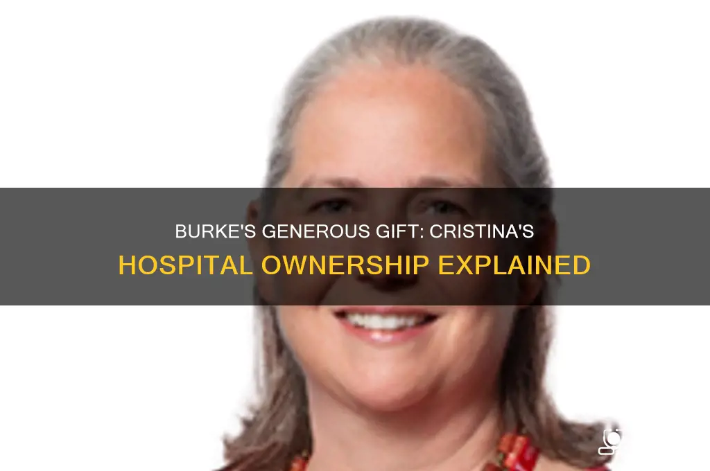 when does burke give cristina a hospital