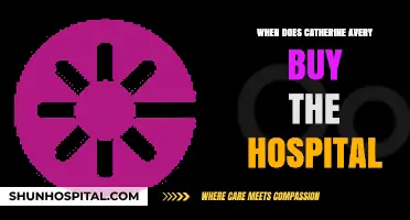 Catherine Avery's Hospital Acquisition: A Grey's Anatomy Turning Point