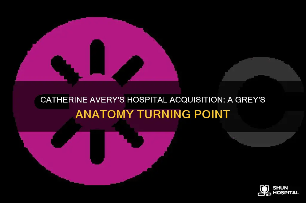 when does catherine avery buy the hospital