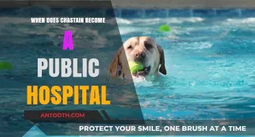 Chastain's Transformation: When It Becomes a Public Hospital