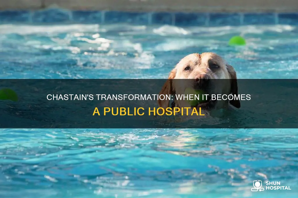 when does chastain become a public hospital