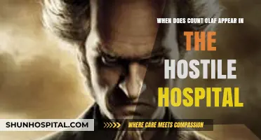 Count Olaf's Hostile Hospital Appearance: A Series of Unfortunate Events