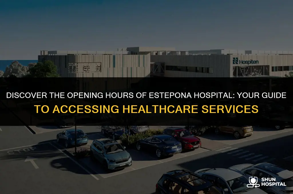 when does estepona hospital open