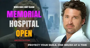Grey Sloan Memorial Hospital: Unveiling the Opening Day and Legacy