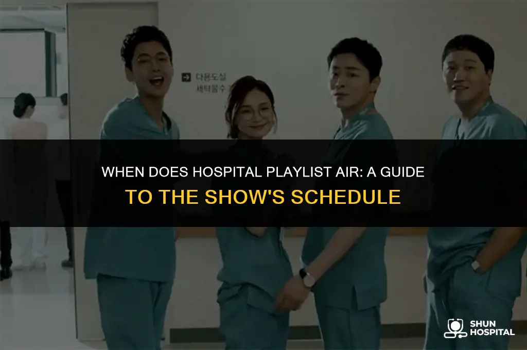when does hospital playlist air