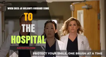 Jo Wilson's Husband's Emotional Hospital Arrival: A Grey's Anatomy Moment