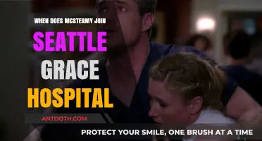 McSteamy's Arrival: When Mark Sloan Joins Seattle Grace Hospital