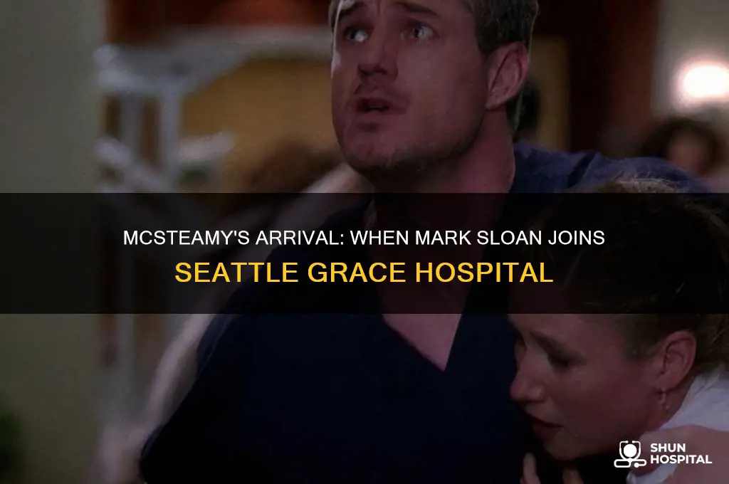 when does mcsteamy join seattle grace hospital