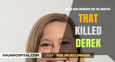 Meredith's Legal Battle: Suing the Hospital After Derek's Death