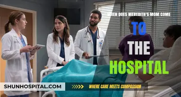 When Does Meredith's Mom Arrive at Grey Sloan Memorial Hospital?