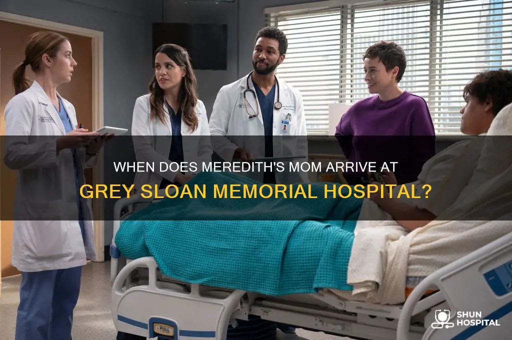 when does meredith