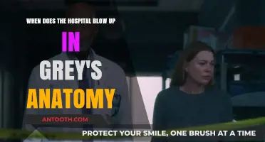 Grey's Anatomy Hospital Explosion: The Shocking Episode Revealed
