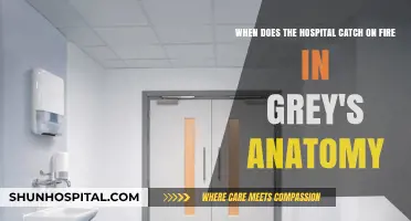Grey's Anatomy Inferno: When Does the Hospital Fire Erupt?