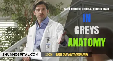 Grey's Anatomy Hospital Shooter Arc: When Does the Chaos Begin?