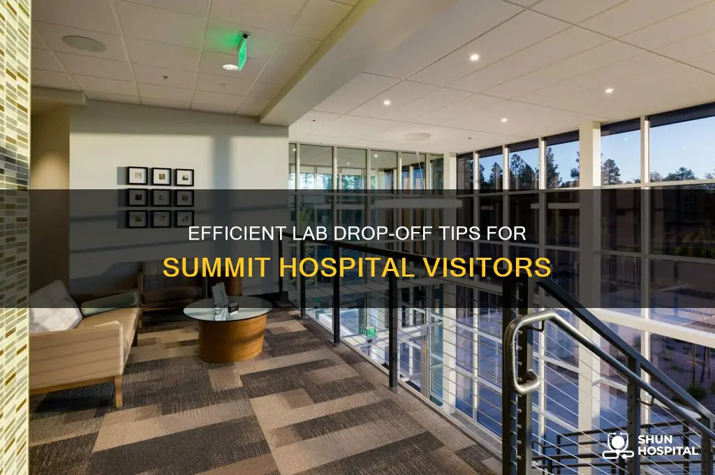 when dropping off labs at summit hospital