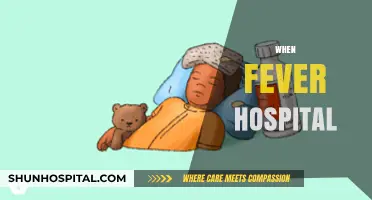 When to Seek Hospital Care for Persistent or Severe Fevers
