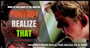 Ponyboy's Hospital Revelation: Darry's Impact on His Perspective