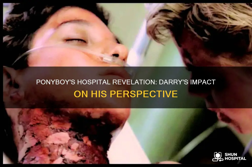 when he saw darry at the hospital ponyboy realize that