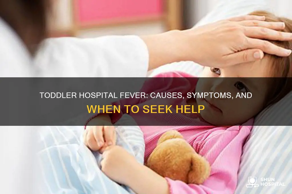 when hospital fever toddler