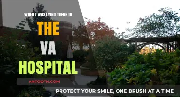 Reflections from the VA: Healing, Resilience, and My Hospital Journey