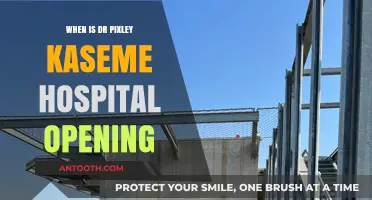 Dr Pixley Ka Isaka Seme Hospital Opening Date Announced: What to Expect