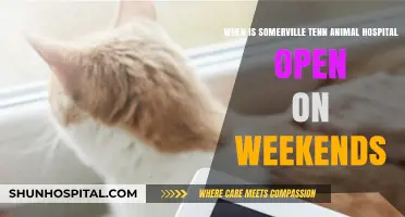 Somerville, TN Animal Hospital Weekend Hours: When Are They Open?
