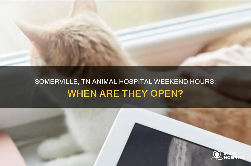 when is somerville tenn animal hospital open on weekends