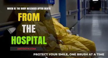 Understanding Hospital Procedures: When Is the Body Released After Death?