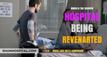 Seaview Hospital Revenant Project: Timeline and Updates Revealed