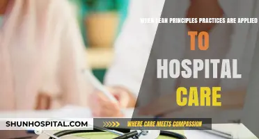 Enhancing Hospital Efficiency: Lean Principles Transforming Patient Care Delivery