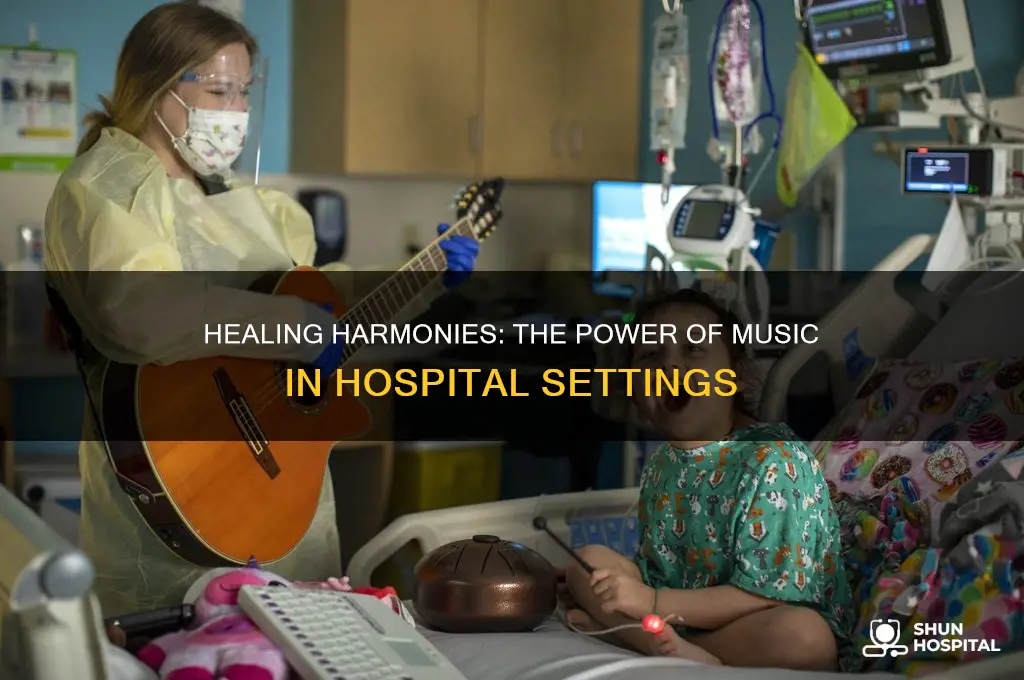 when musicians play at hospitals what is it called