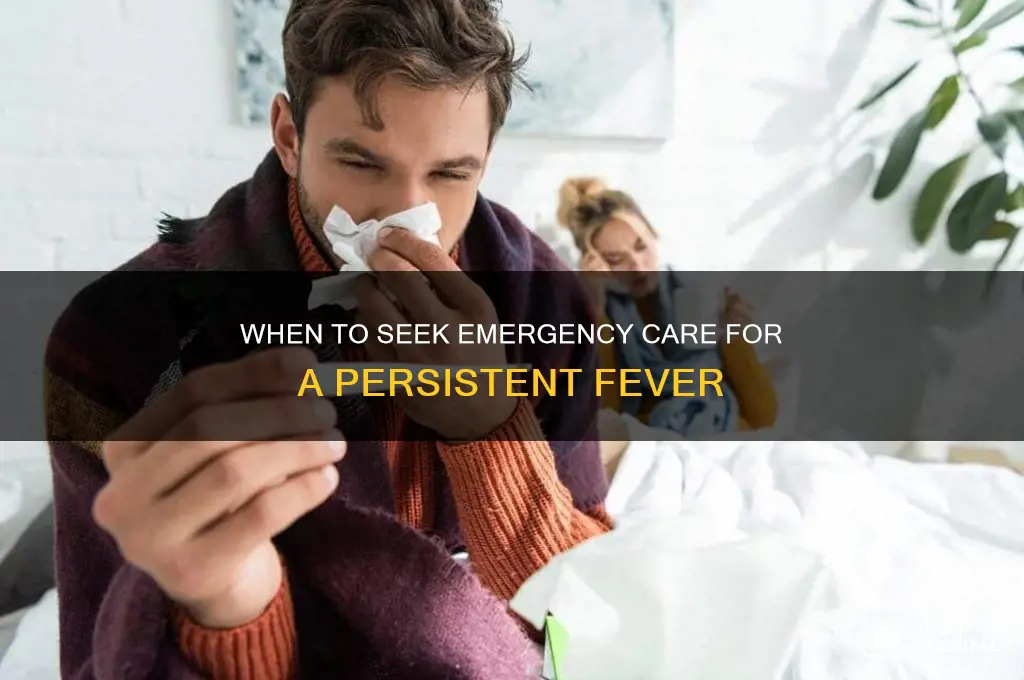 when should a fever send you to the hospital