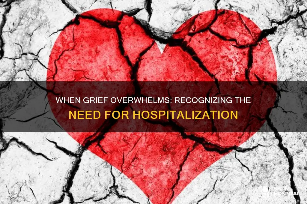 when should a grieving person be hospitalized