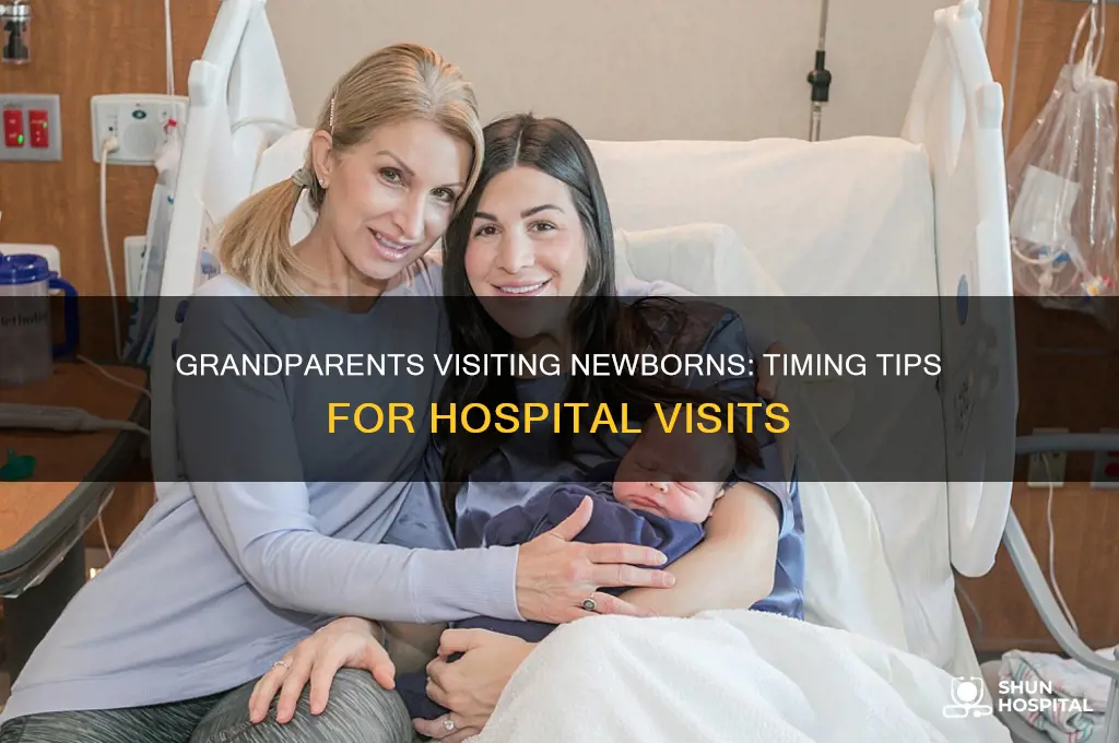 when should grandparents visit newborn in hospital
