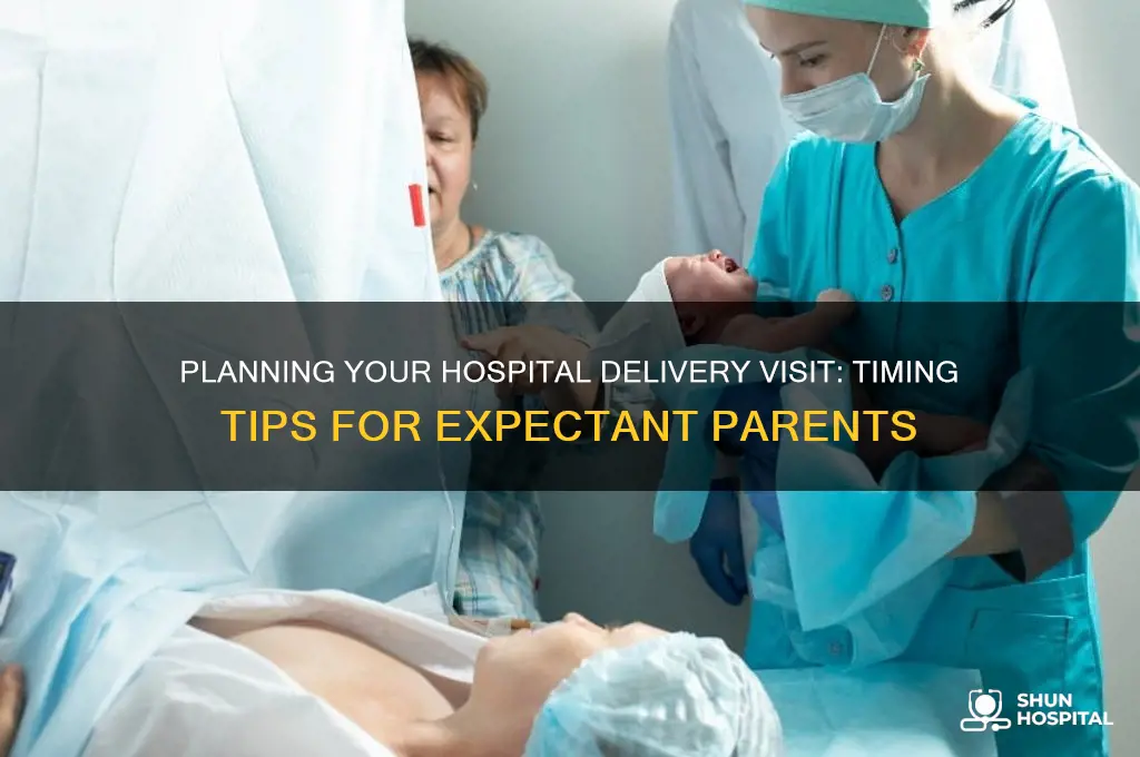 when should you plan delivery hospital visit