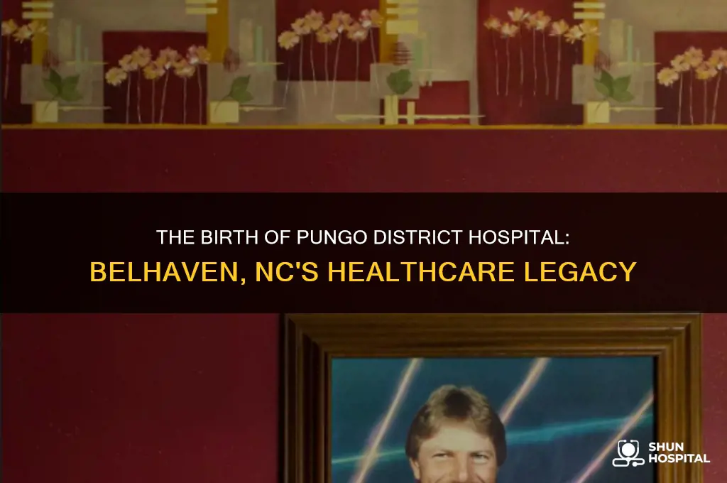 when they first built pungo district hospital in belhaven nc