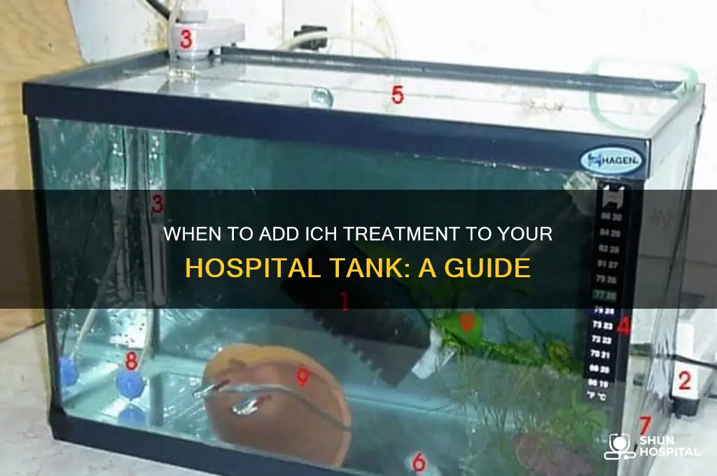 when to add ich to hospital tank