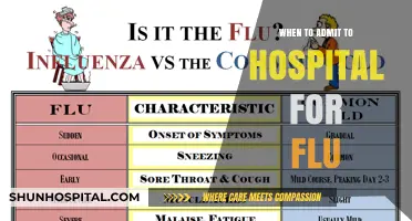 Flu Symptoms: When to Seek Hospital Admission for Severe Cases