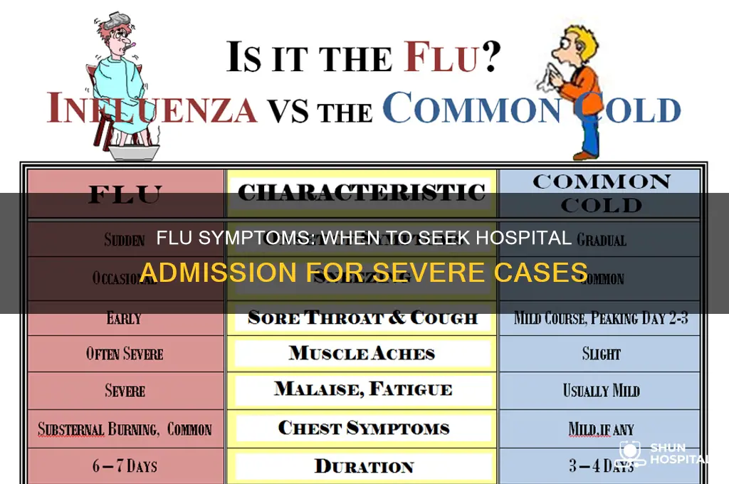when to admit to hospital for flu