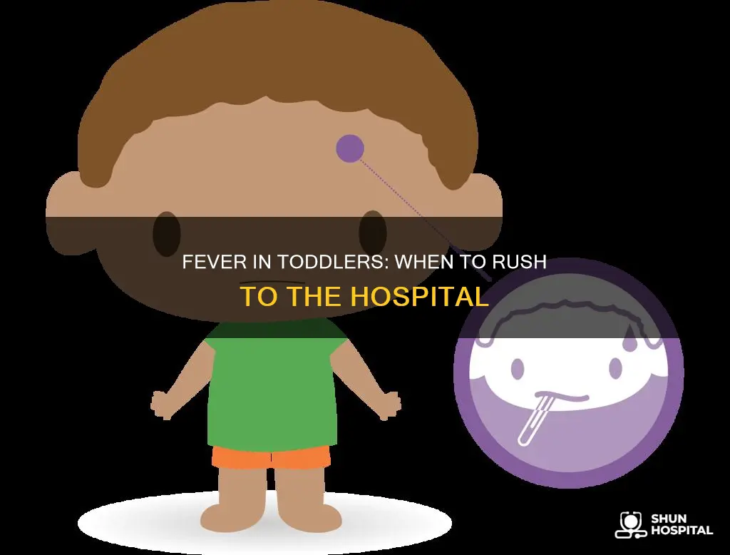when to bring toddler to hospital fever