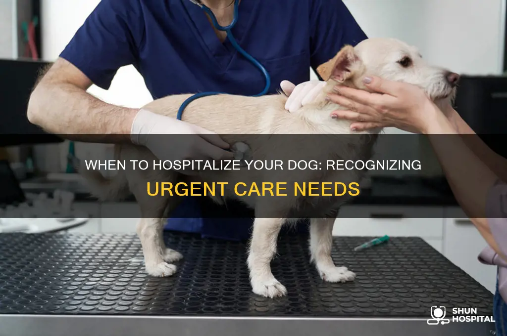 when to hospitalize a dog