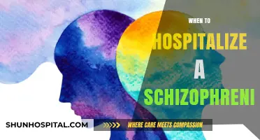 When to Hospitalize a Schizophrenic: Key Indicators and Considerations