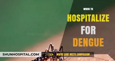 When to Hospitalize for Dengue: Recognizing Critical Symptoms and Timely Action