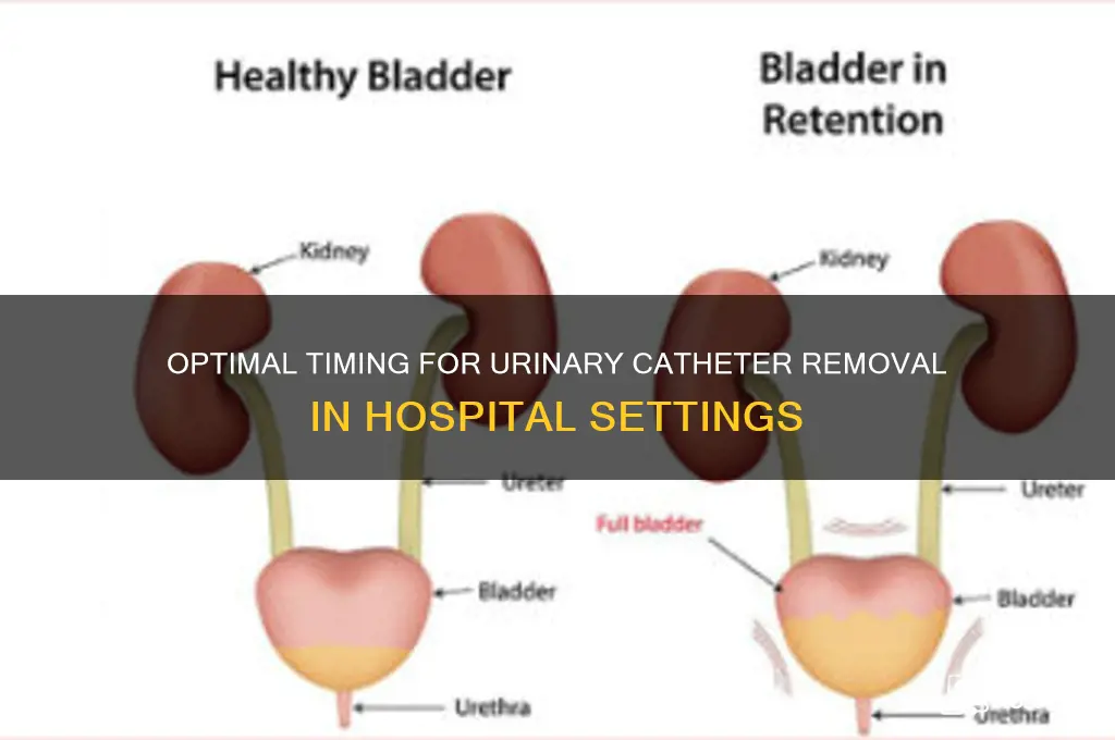 when to remove a urinary catheter hospital