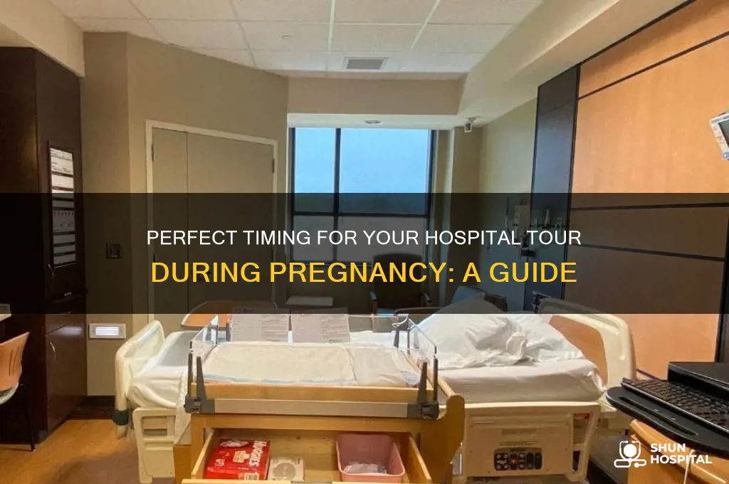 when to schedule hospital tour during pregnancy